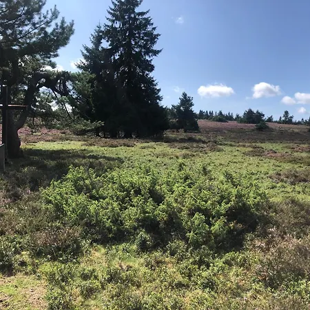 Apartamento Fachwerkliebe Ornes 3 Olsberg