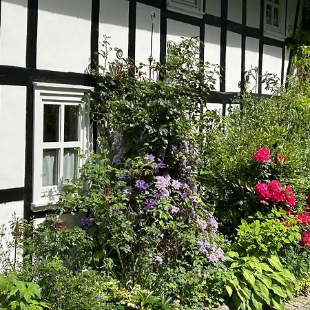 Fachwerkliebe Ornes 3 Olsberg