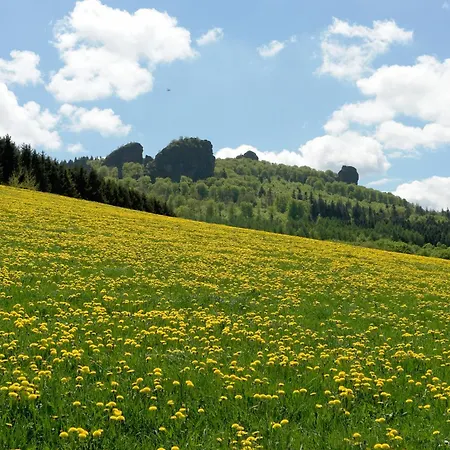 Fachwerkliebe Ornes 3 Olsberg