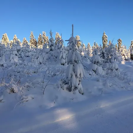 Fachwerkliebe Ornes 3 Apartamento