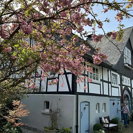 Fachwerkliebe Ornes 3 Appartement *