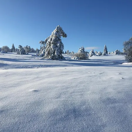 Fachwerkliebe Ornes 3 Olsberg