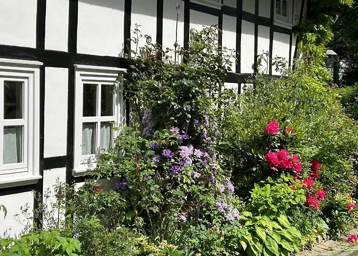 Fachwerkliebe Ornes 3 オルスベルク