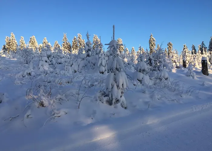 Fachwerkliebe Ornes 3 アパート