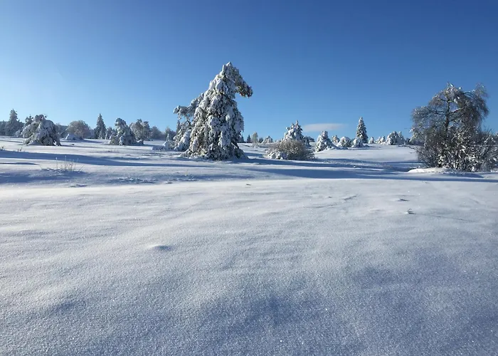 Fachwerkliebe Ornes 3 オルスベルク